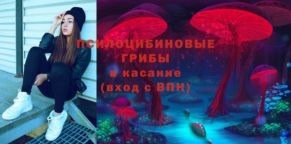 тгк Зеленодольск